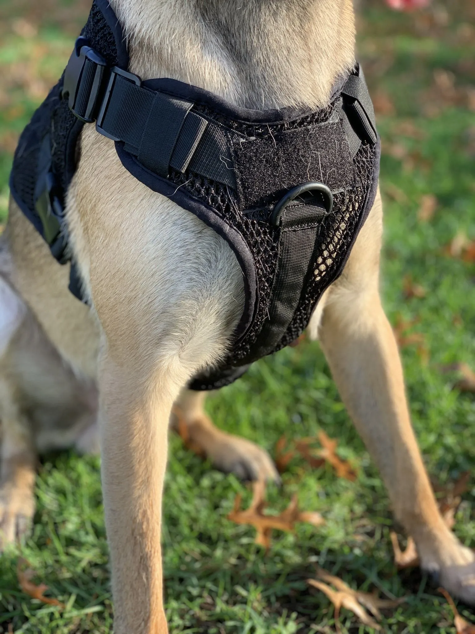 221B Tactical Artemis Dog Harness