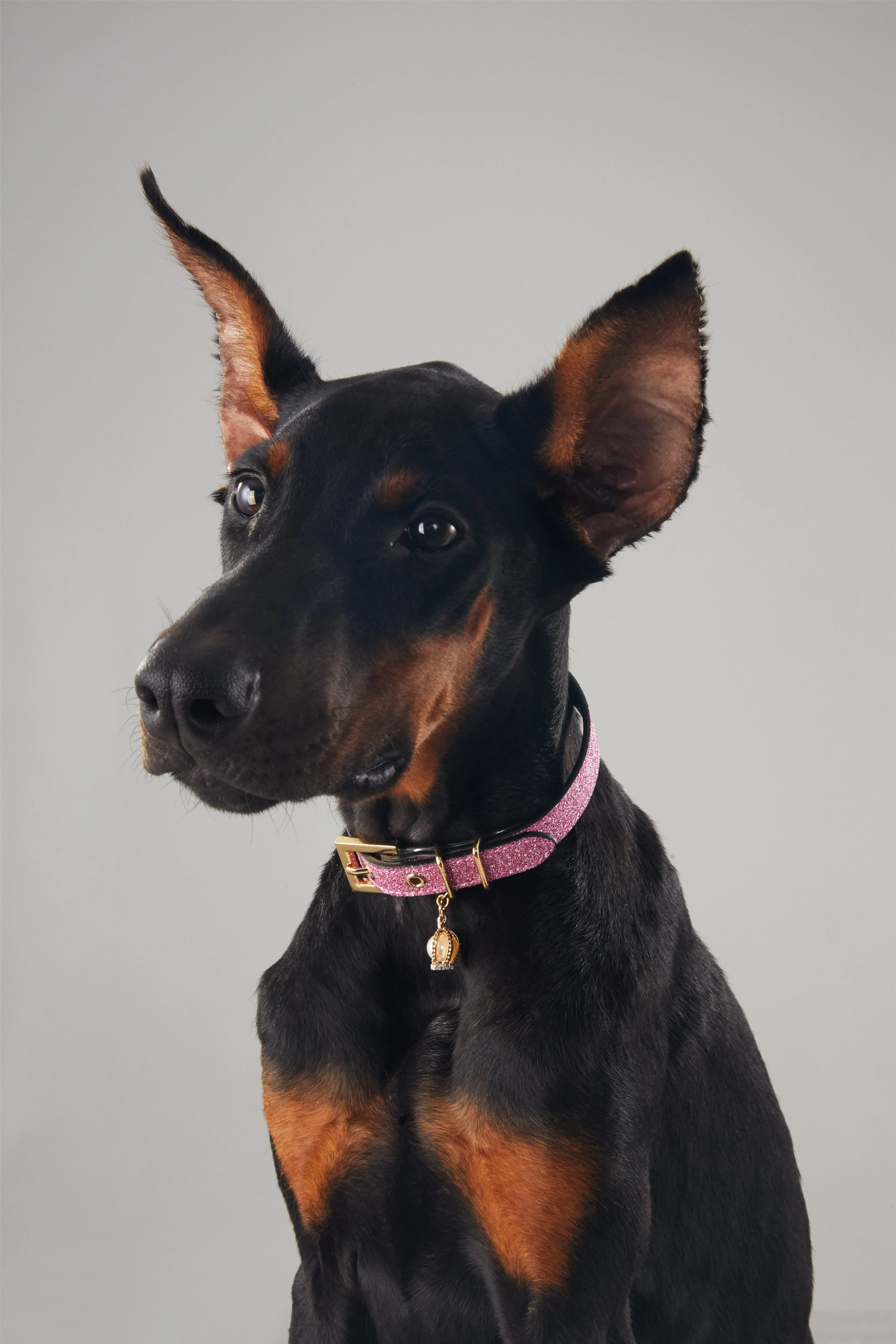 Glitter Collar with Crown (Rose)